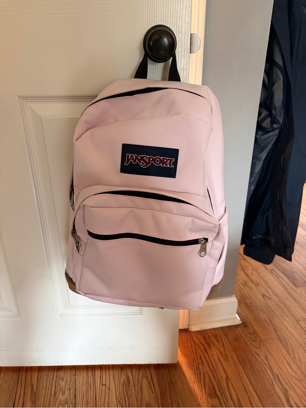 Jansport Light Pink Everyday Backpack